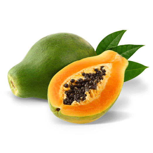 Papaja
