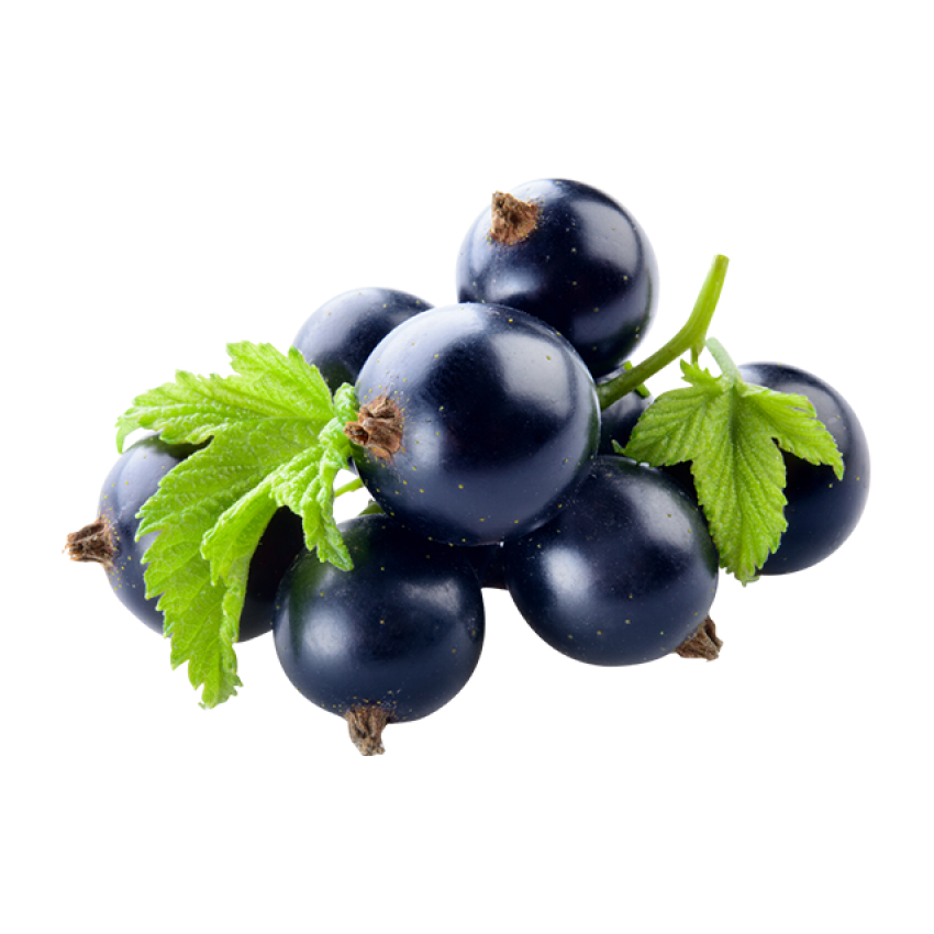 Grosella negra